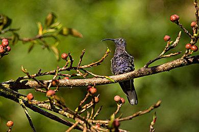 新DC宇宙已有数部游戏开发中 首部推出还需数年